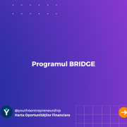 Programul BRIDGE