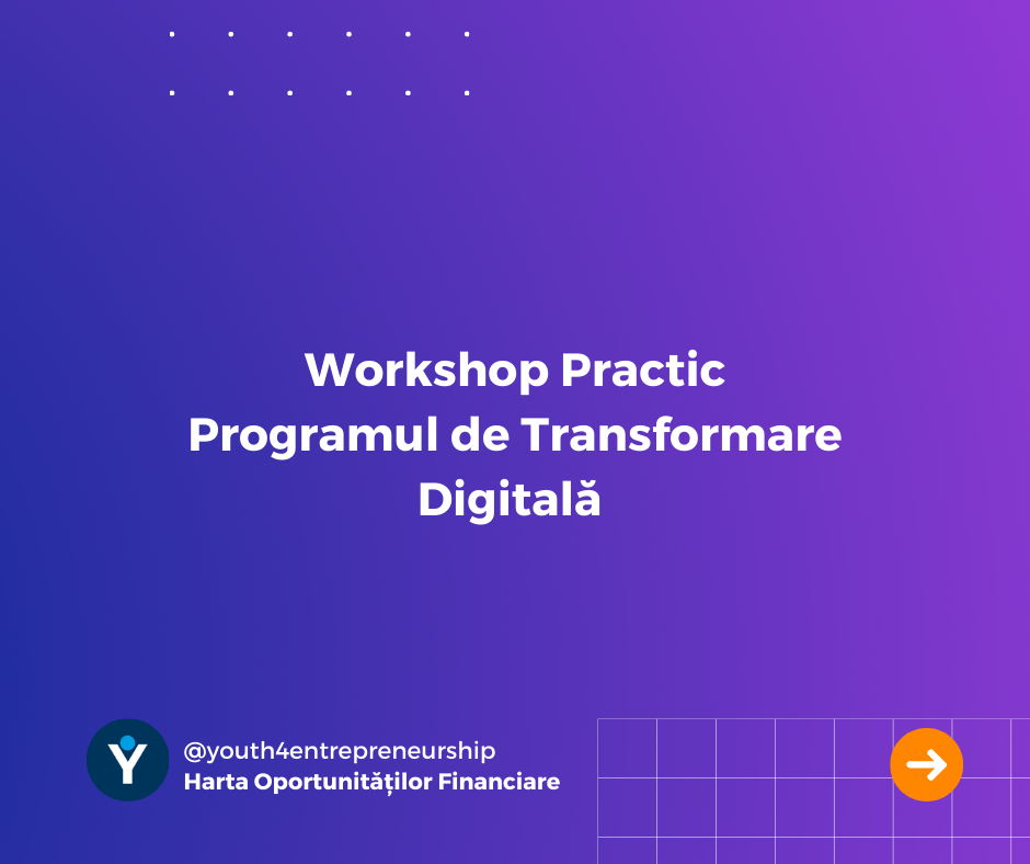 Workshop Practic: Programul de Transformare Digitală