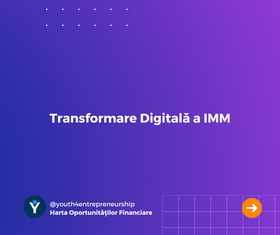 Transformare Digitală a IMM