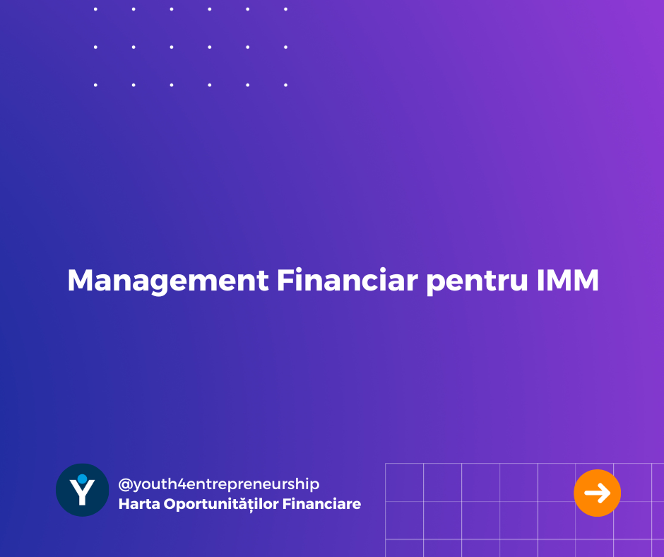 Management Financiar pentru IMM